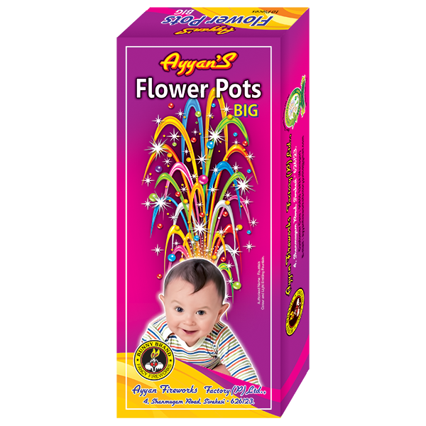 Flower pot Big (10 Pcs)